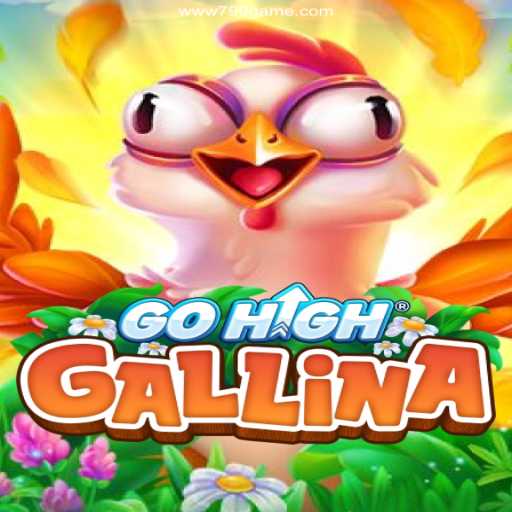 Exploring GoHighGallina: A New Era in Online Gaming